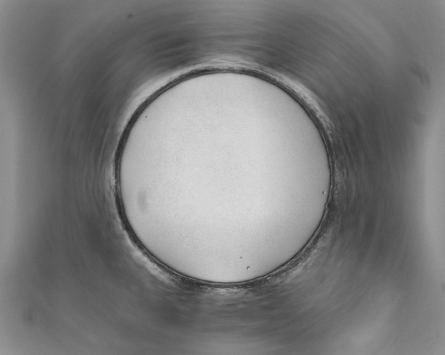 X0000110671335200907101058