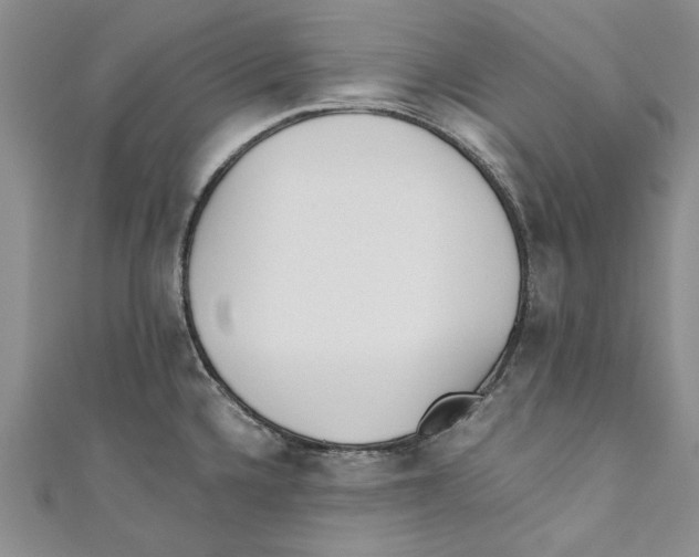 X0000110671336200907101058
