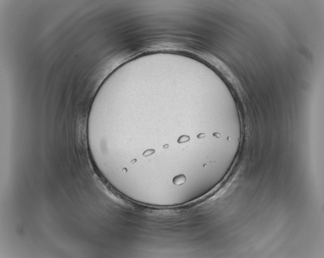 X0000110671337200907101058