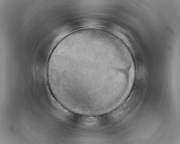 X0000110671338200907101058