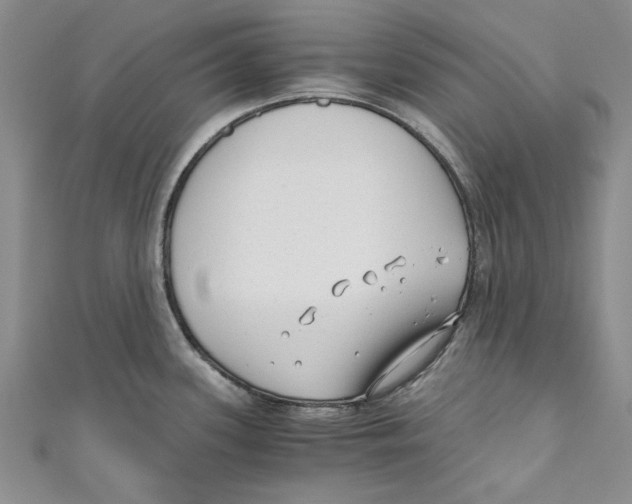 X0000110671339200907101058
