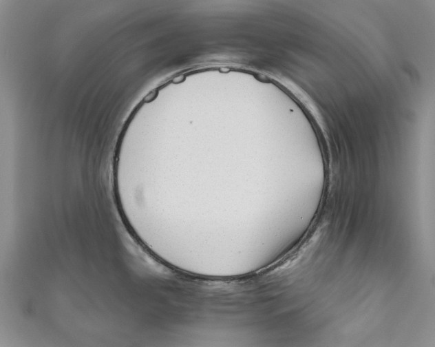 X0000110671341200907101058