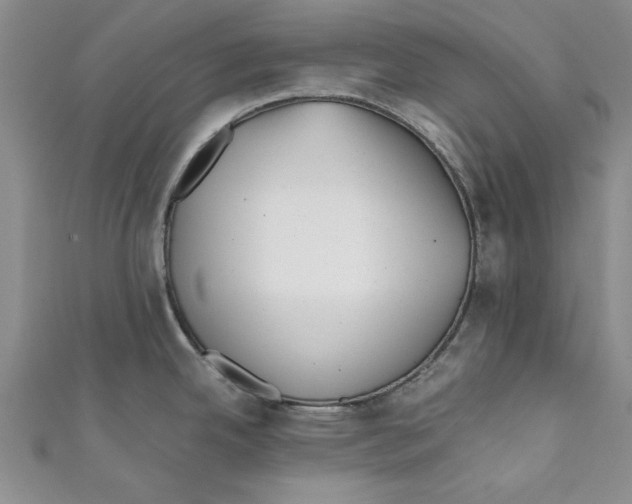 X0000110671342200907101058