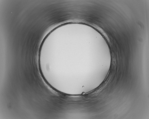 X0000110671343200907101058