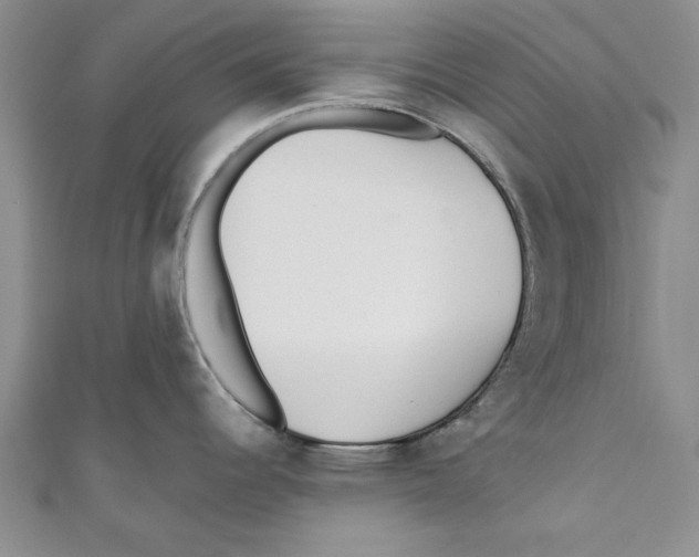 X0000110671344200907101058