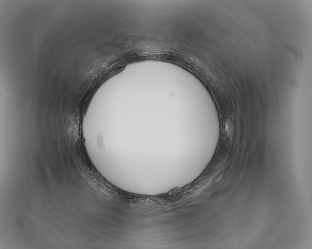X0000110671348200907101057