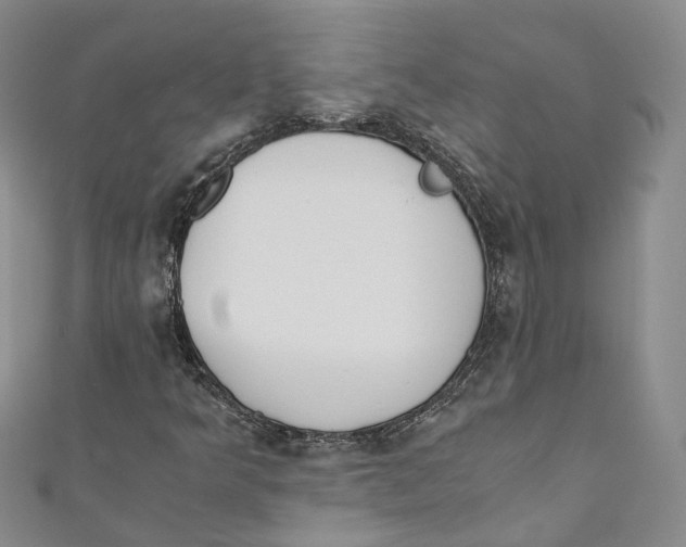 X0000110671349200907101057