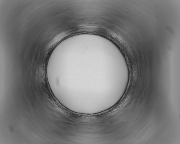 X0000110671354200907101057