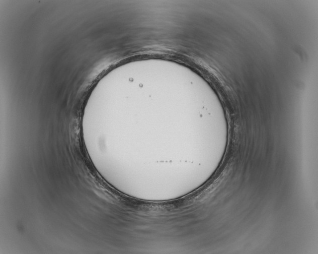X0000110671355200907101057