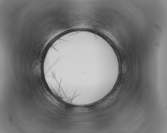 X0000110671356200907101057