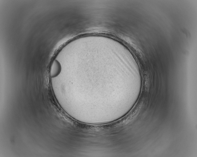 X0000110671358200907101057