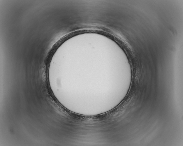 X0000110671360200907101057