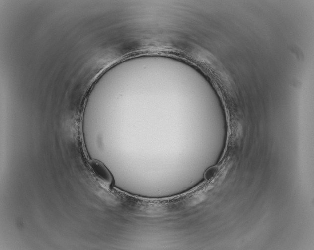 X0000110671361200907101057