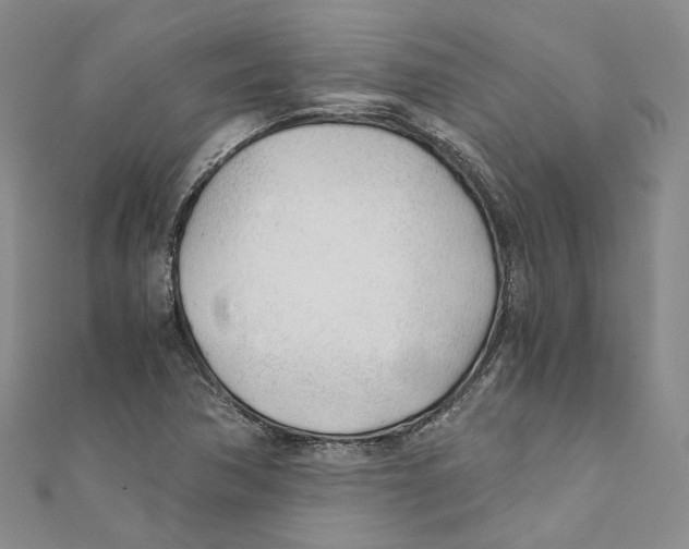 X0000110671362200907101057