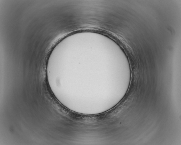 X0000110671363200907101057