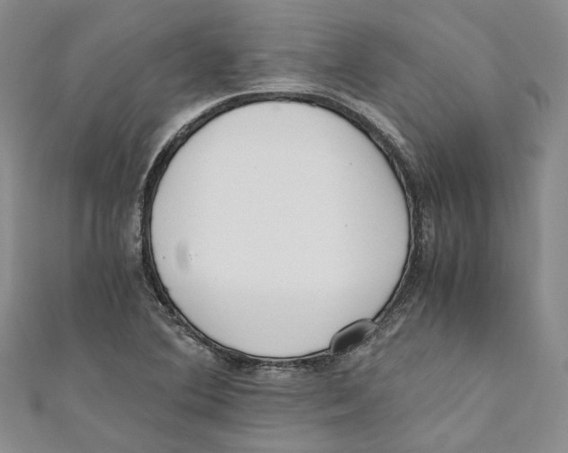X0000110671364200907101057