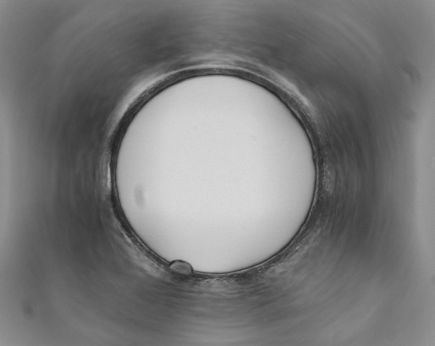 X0000110671368200907101057