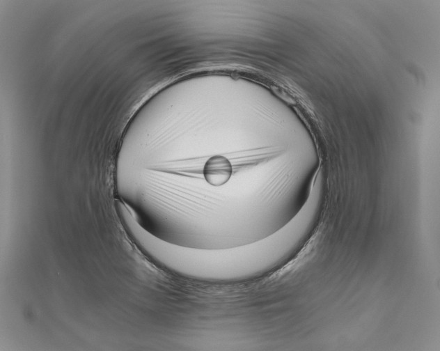 X0000110671369200907101057