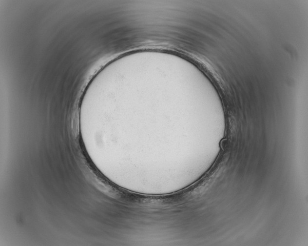 X0000110671371200907101057