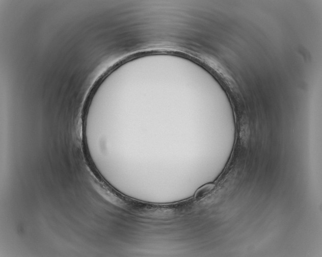 X0000110671372200907101057