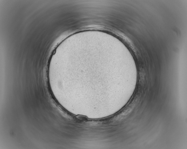 X0000110671373200907101057