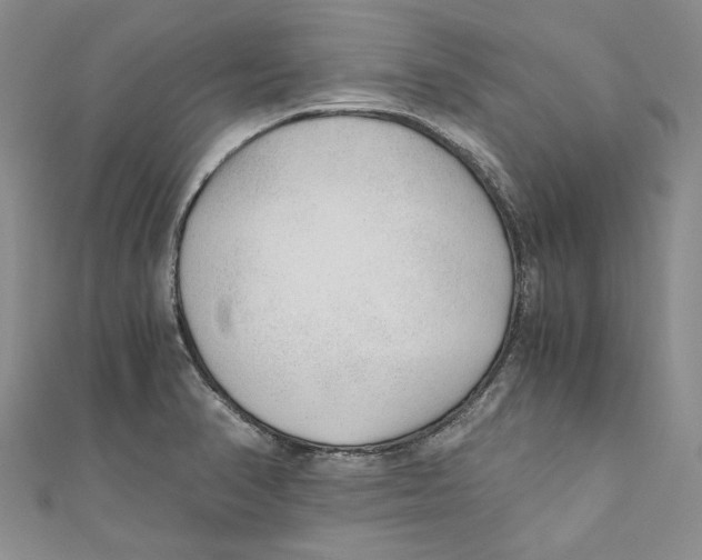 X0000110671374200907101057