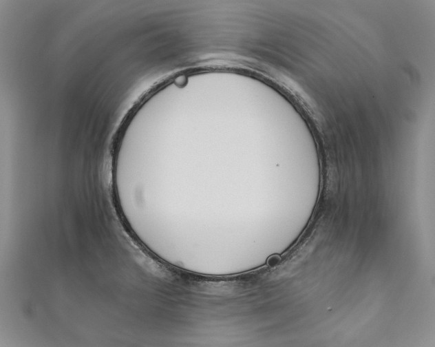 X0000110671376200907101057