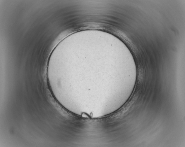 X0000110671378200907101057