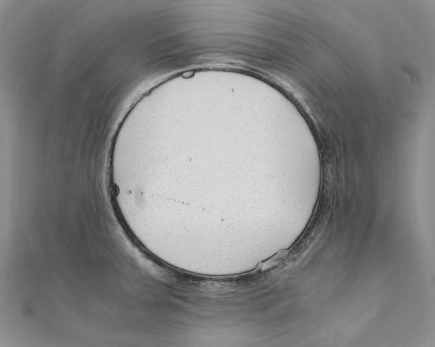 X0000110671379200907101057