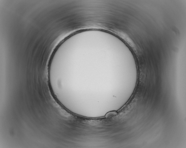 X0000110671380200907101057