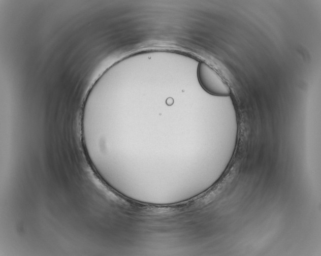 X0000110671382200907101057