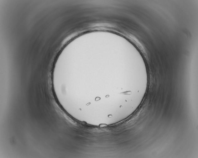 X0000110671384200907101057