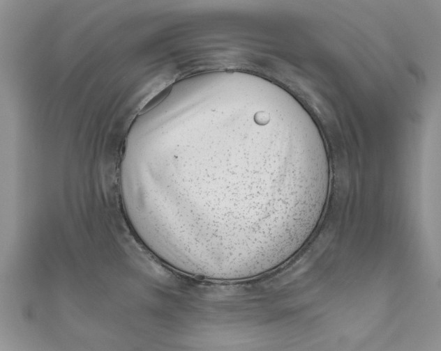 X0000110671385200907101057
