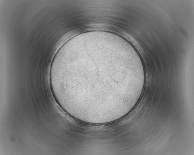 X0000110671386200907101057