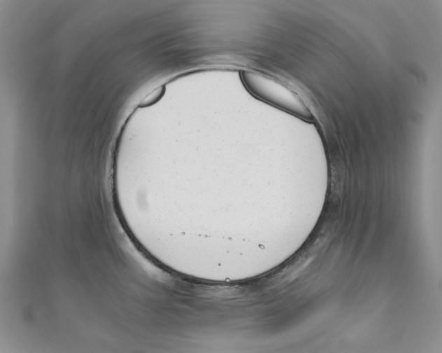 X0000110671387200907101057