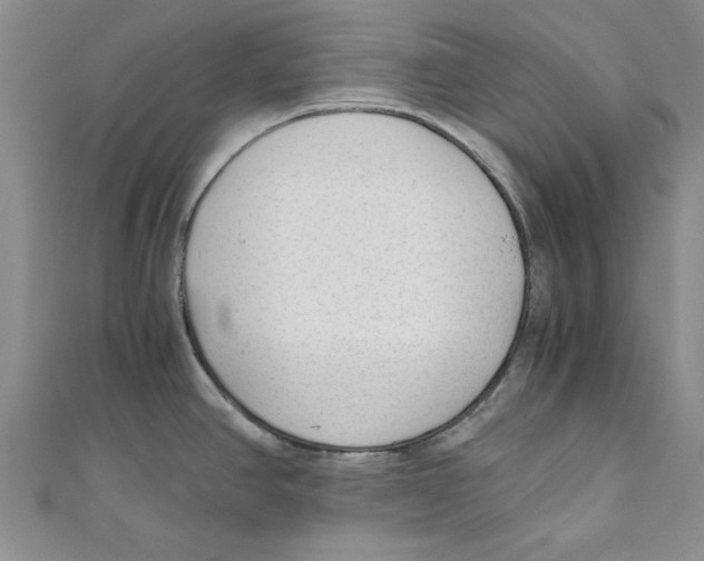 X0000110671390200907101057
