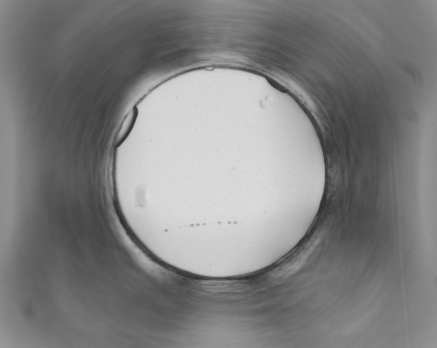 X0000110671391200907101057