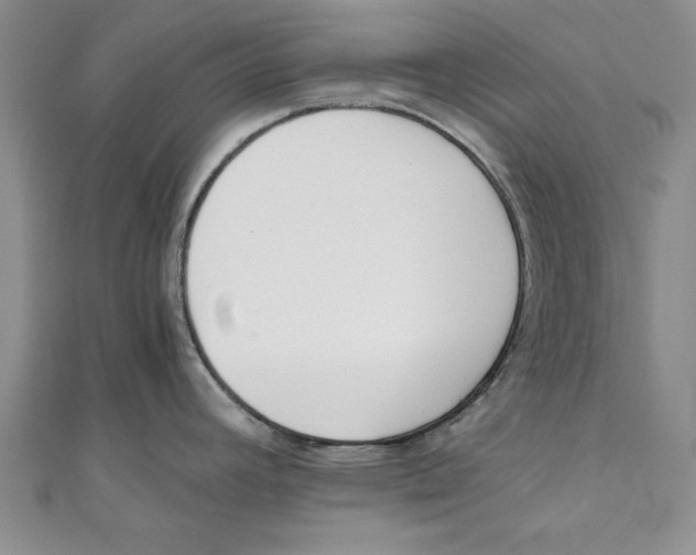 X0000110671392200907101057
