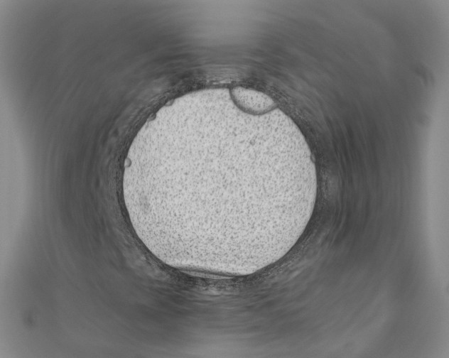X0000110671393200907101056