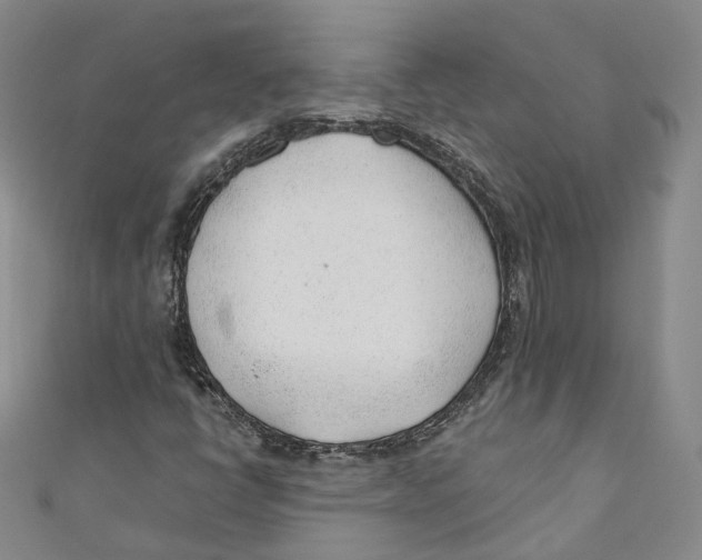 X0000110671398200907101056