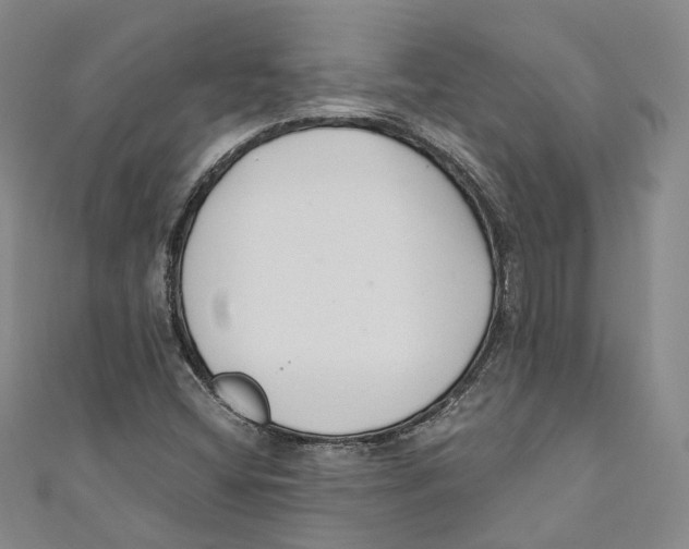 X0000110671404200907101056
