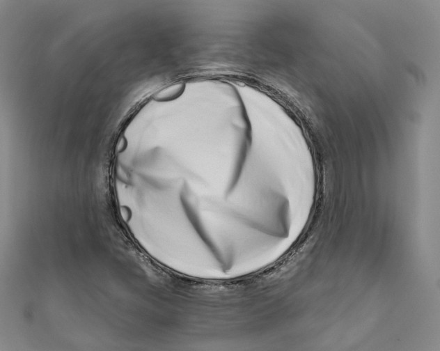X0000110671405200907101056