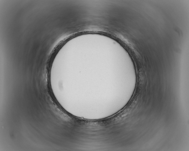 X0000110671408200907101056