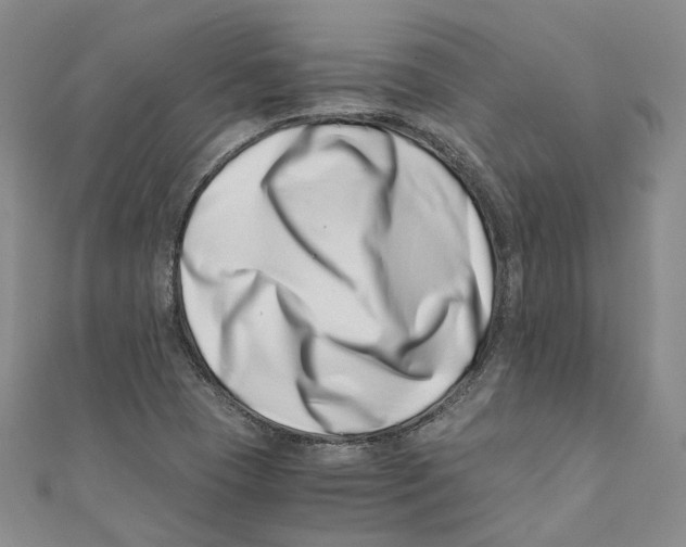 X0000110671409200907101056