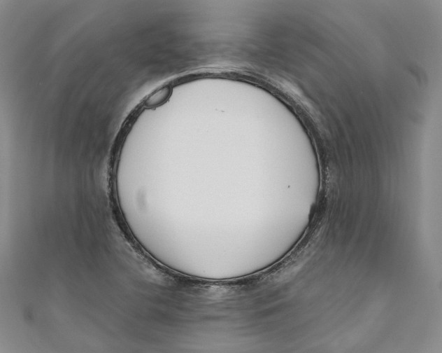 X0000110671412200907101056
