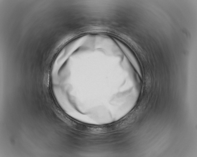 X0000110671413200907101056