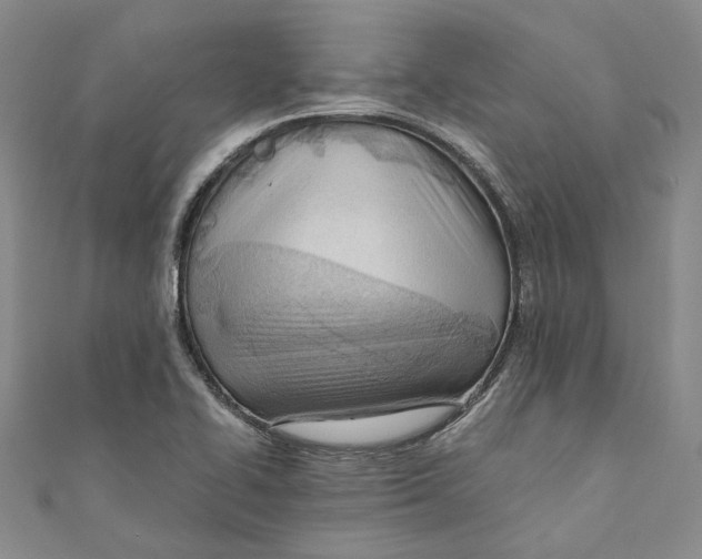 X0000110671414200907101056