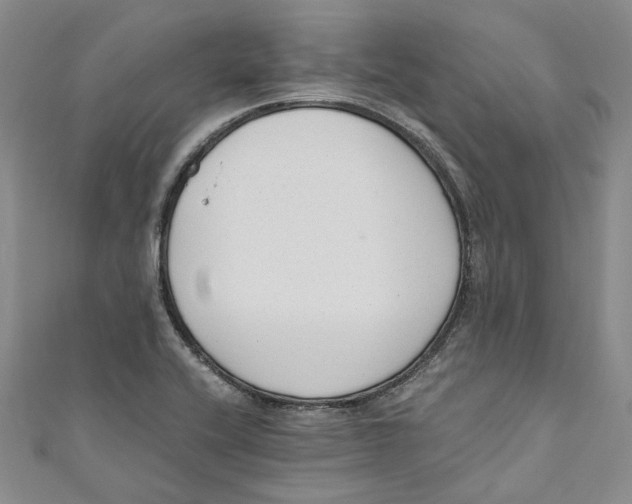 X0000110671416200907101056