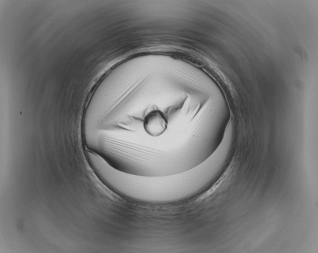 X0000110671417200907101056