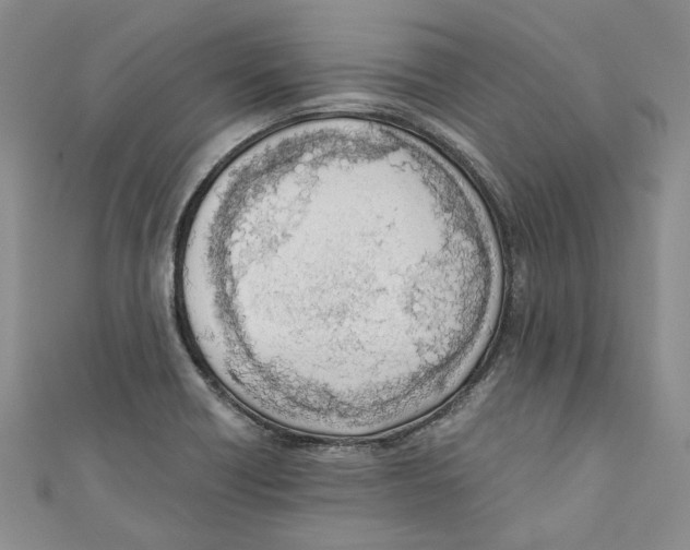 X0000110671418200907101056